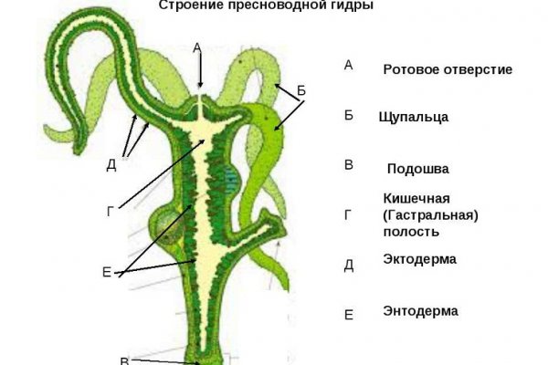 Взломали аккаунт на кракене что делать