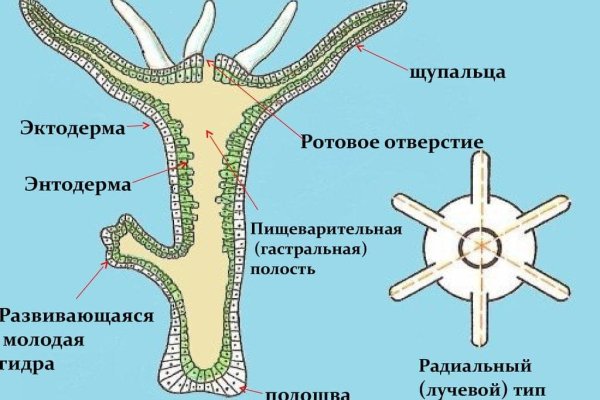 Kraken12 at сайт